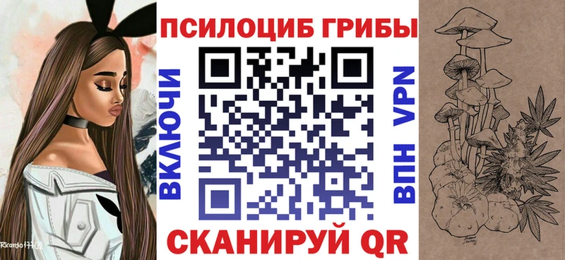 где продают   Армянск  Псилоцибиновые грибы Magic Shrooms 
